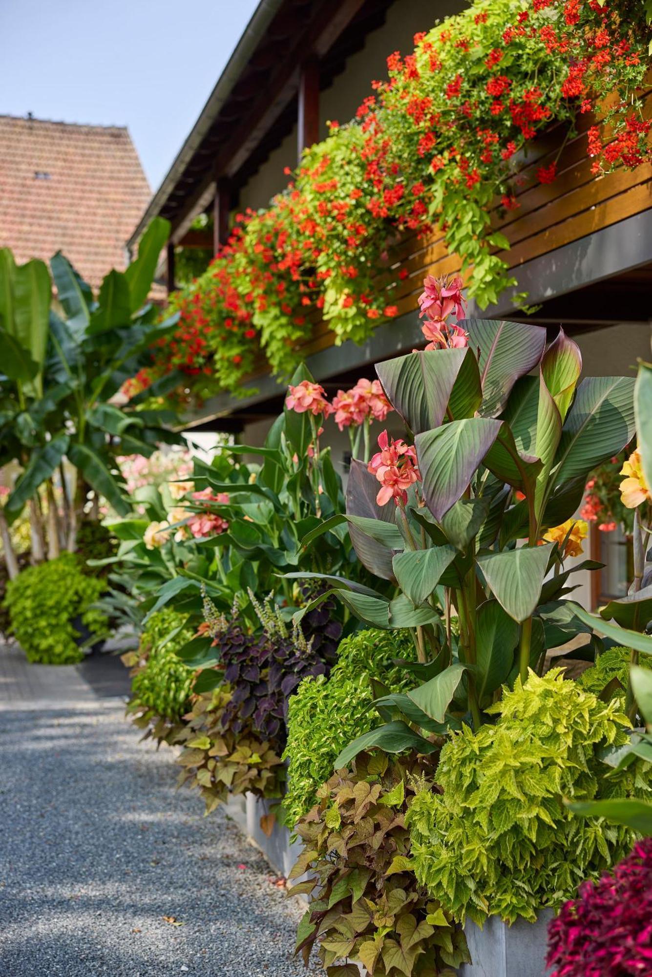 Hotel Garni Sonnenhof Reichenberg  Exterior foto